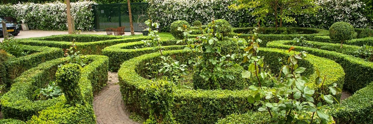 tuinonderhoud van Klassieke Engelse tuin met beplanting buxus haag.